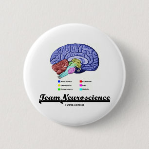 Team Neuroscience (Brain Anatomy Attitude) 6 Cm Round Badge