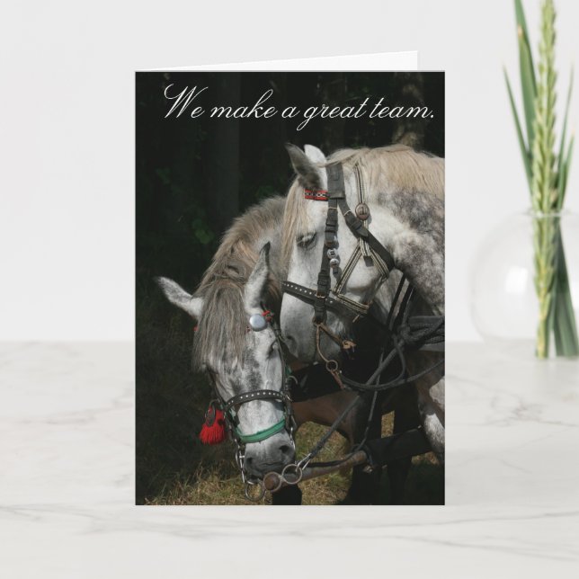 Team of horses "We make a great team" Card (Front)