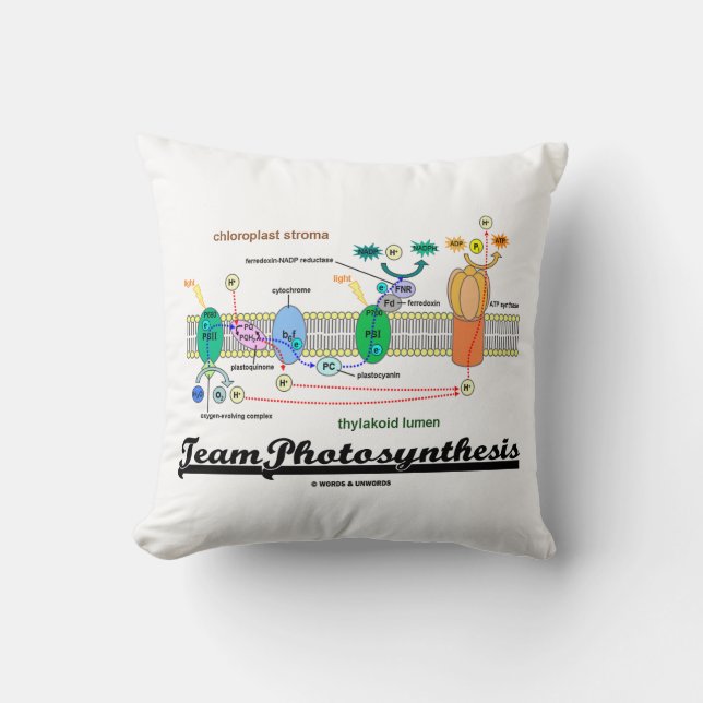 Team Photosynthesis Light-Dependent Reactions Cushion (Front)