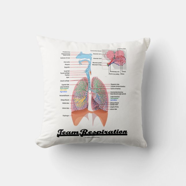 Team Respiration (Respiratory System) Cushion (Front)