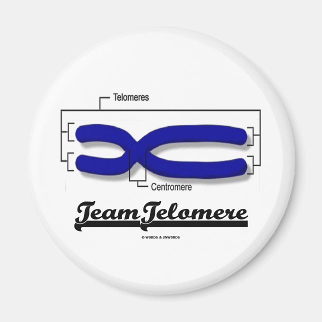Team Telomere (Biology Humour) Magnet (Front)