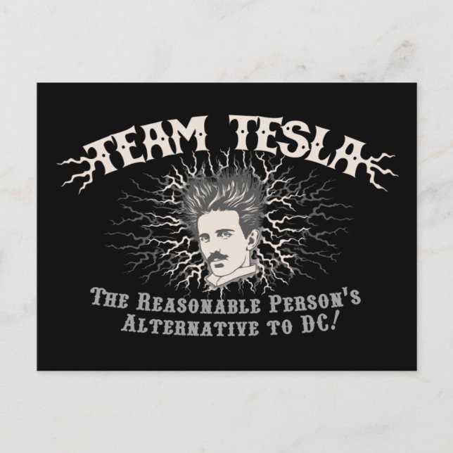 Team Tesla Static Hair Postcard (Front)