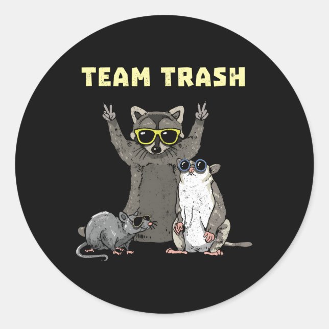 Team Trash Opossum Racoon Rat Animals Garbage Gan Classic Round Sticker (Front)