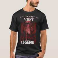 Team VEST - An Endless LEGEND