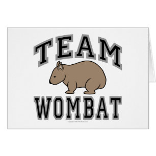 Team Wombat V