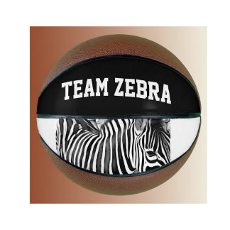 team zebra basketball