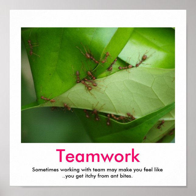 TEAMWORK demotivational poster (Front)