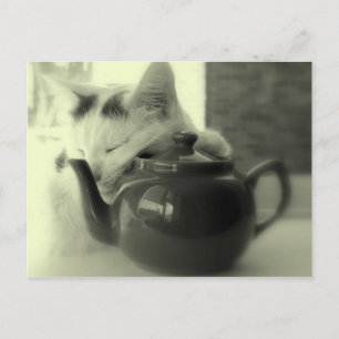Teapot Pillow Postcard