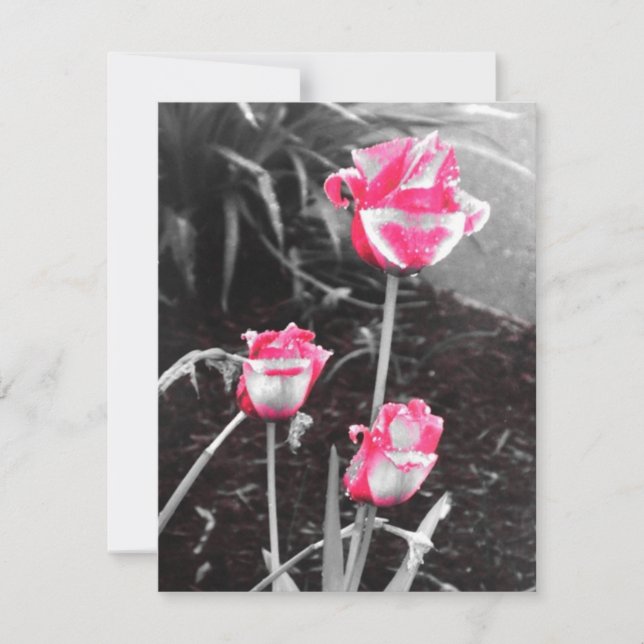 Tear Drop Roses -Design 2 (Front)