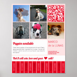 Tear off printable puppies for sale flyer template poster