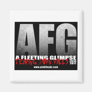 "Tearing Down Walls" Magnet