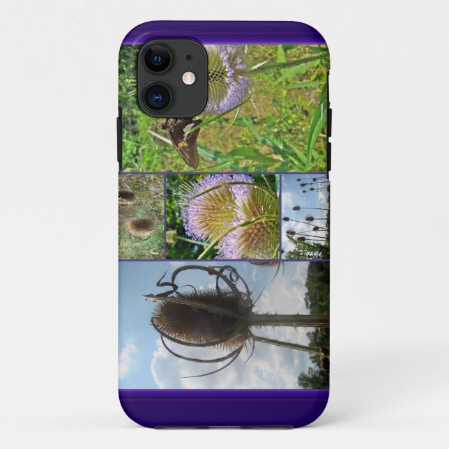 Teasel Thistle - Dipsacus fullonum Case-Mate iPhone Case (Back)