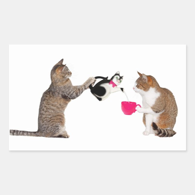 Teatime for kitty cats rectangular sticker (Front)