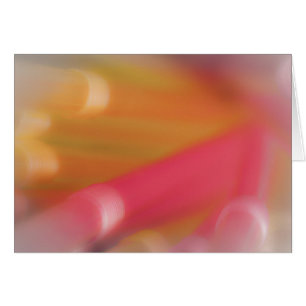 Technicolor Pipe Dream