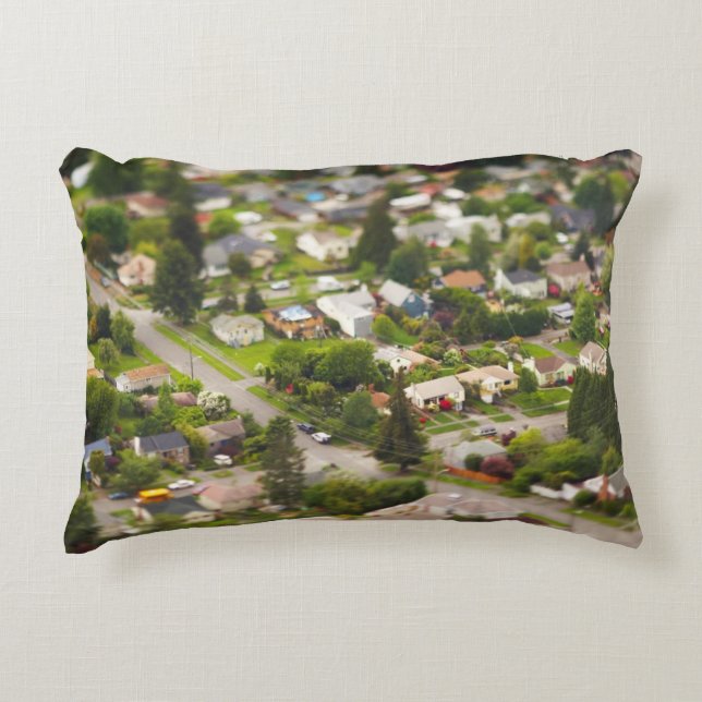 Technique #1- tilt/shift lenses decorative cushion (Front)