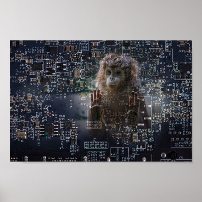 Technology and nature. poster (Front)