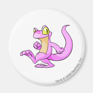 Techo Pink Magnet
