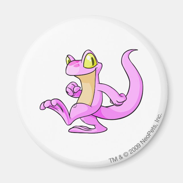 Techo Pink Magnet (Front)