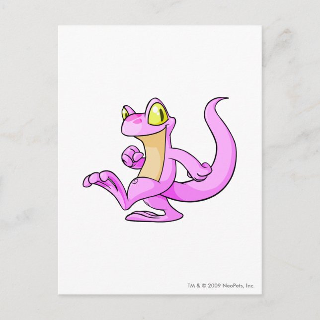 Techo Pink Postcard (Front)