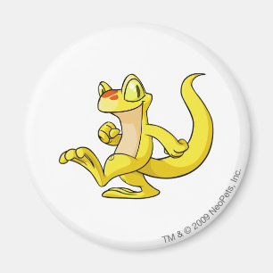 Techo Yellow Magnet