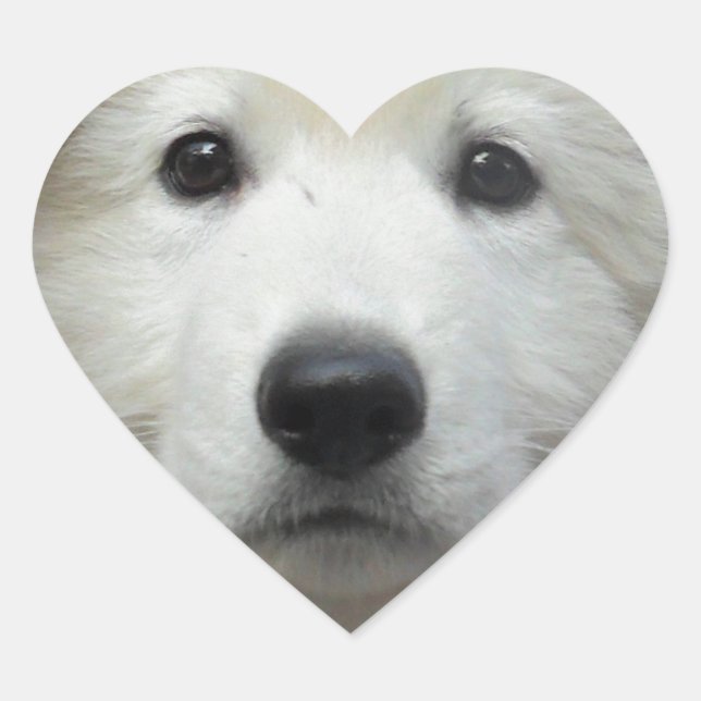 teddy_002.jpg heart sticker (Front)