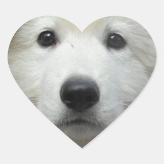 teddy_002.jpg heart sticker