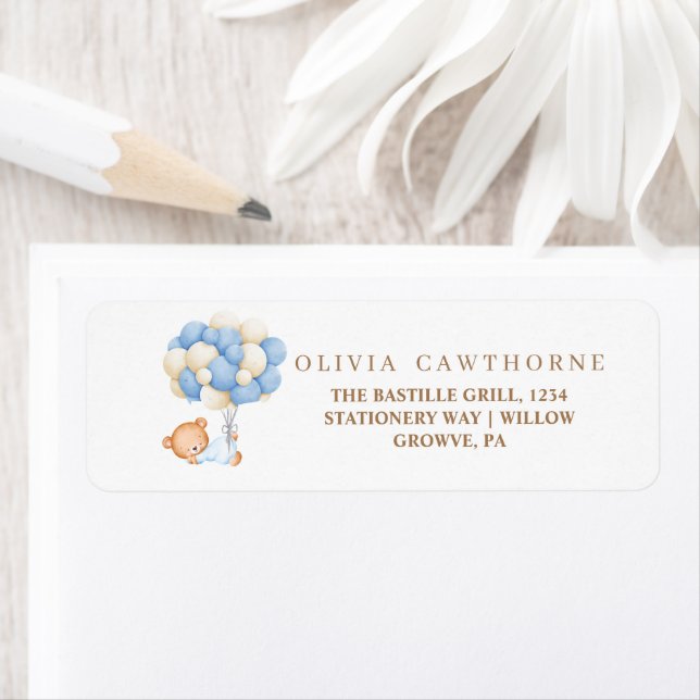 Teddy Bear Baby shower (Insitu)