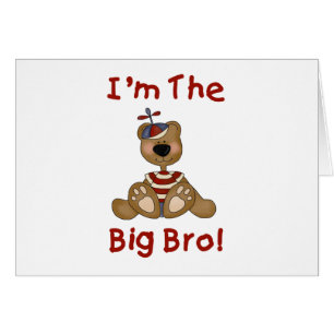 Teddy Bear Big Bro