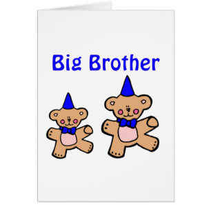 teddy bear big brother