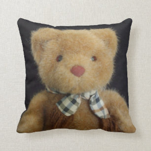 Teddy Bear Cushion