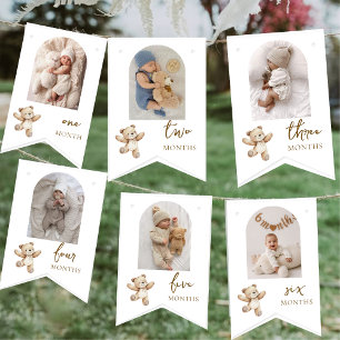 Teddy Bear First Birthday Photo Party Bunting