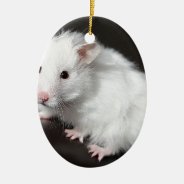 Teddy Bear Hamster Ceramic Tree Decoration (Front)