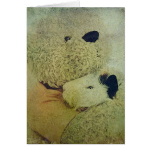Teddy Bear Hugs A Guinea Pig