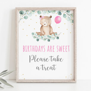 Teddy Bear Picnic Pink Floral Birthday Treat Sign