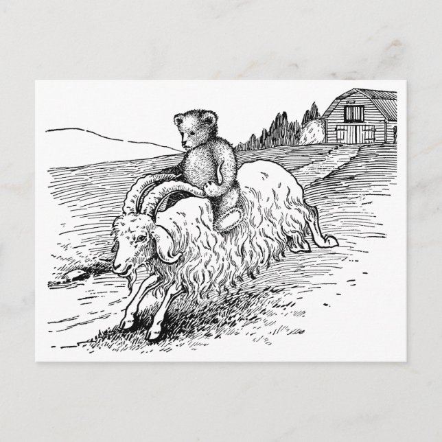 Teddy Bear Riding a Goat Postcard (Front)
