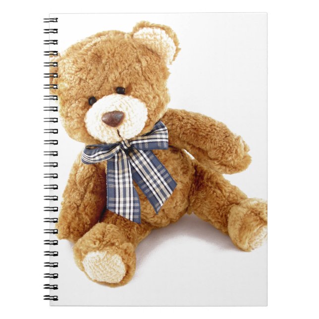 Teddy Bear Spiral Notebook (Front)