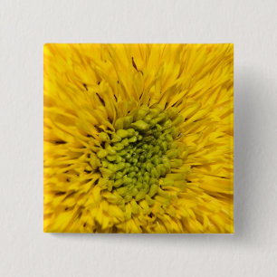 Teddy Bear Sunflower  15 Cm Square Badge
