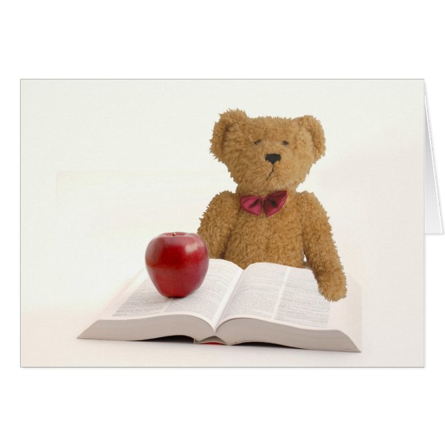 Teddy bear teacher (Front Horizontal)