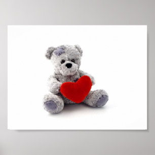 Teddy Bear Toy Holding A Heart On White Background Poster