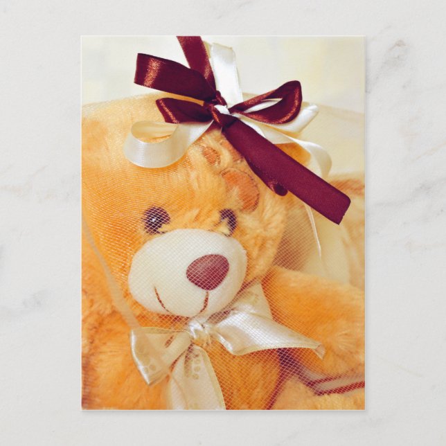 Teddy bear with a veil and bow postcard (Front)