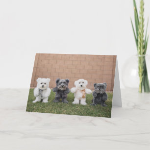 Teddy Bears Card