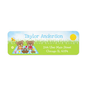 Teddy Bears Picnic Boy Blue Gingham