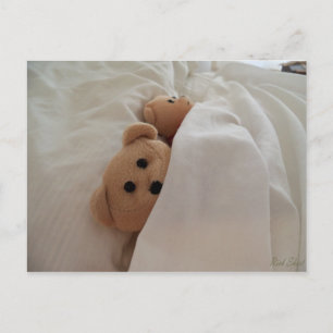 Teddy Bears Sleeping in late Post Card Photo