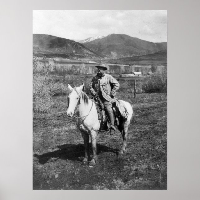 Teddy Goes Bear Hunting, 1905 Poster (Front)