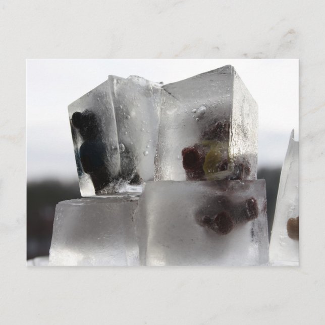 Teddy Postcard (Front)