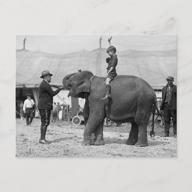 Teddy Roosevelt at the Circus: 1924 Postcard (Front)