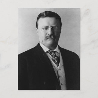 Teddy Roosevelt Postcard
