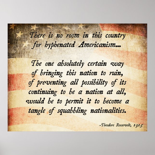 Teddy Roosevelt Quote Poster (Front)