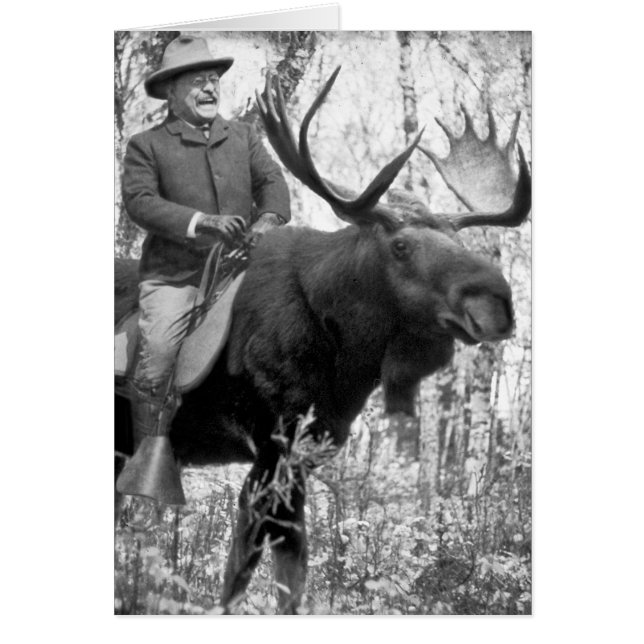 Teddy Roosevelt Riding A Bull Moose (Front)