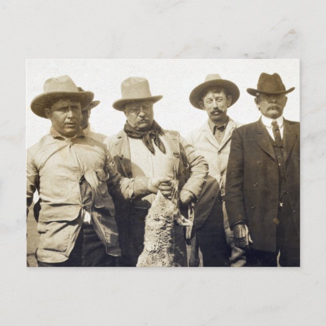 Teddy Roosevelt Wolf Hunting, 1905 Postcard (Front)